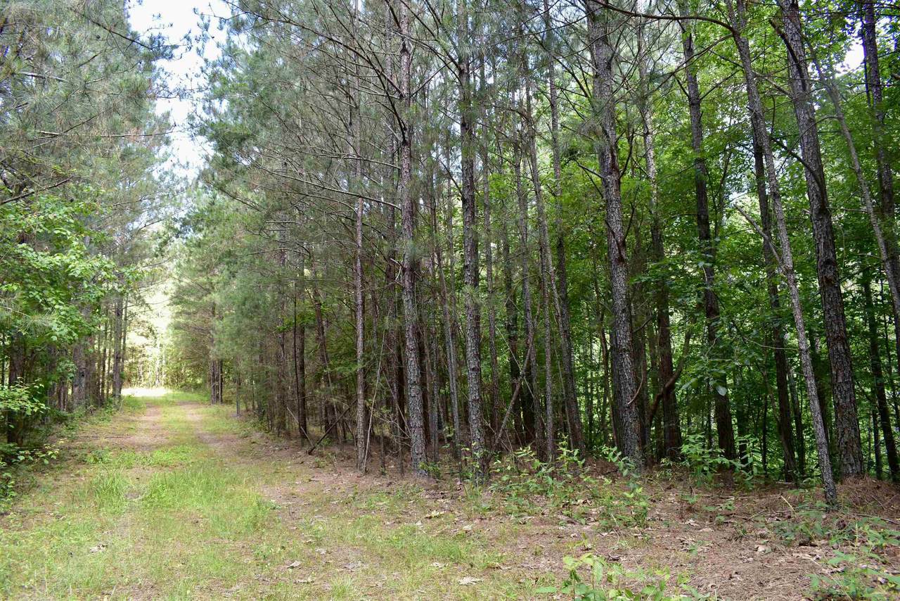 0 Nickelsville Road - Photo 1