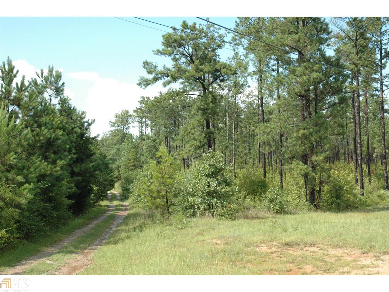 4172 Bartley Rd - Photo 1