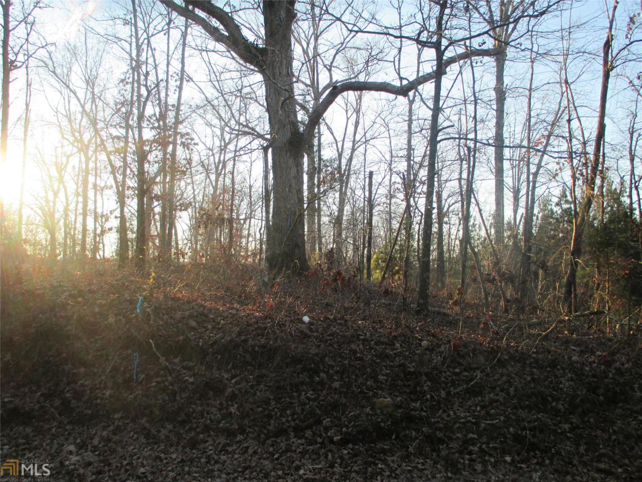 0 New Harmony Church Rd - Photo 1