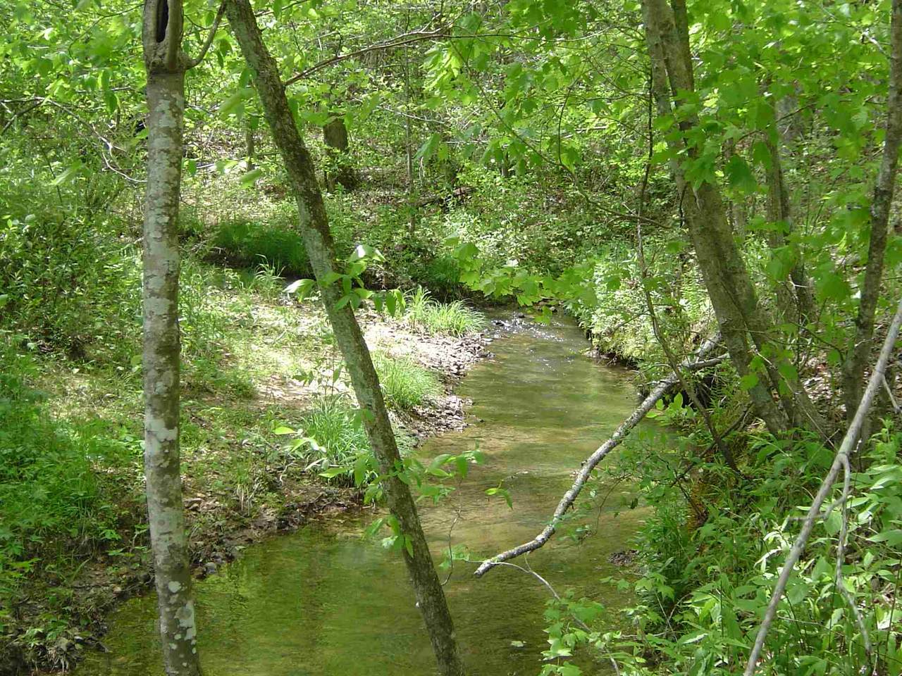 0 Reo Rd - Photo 1