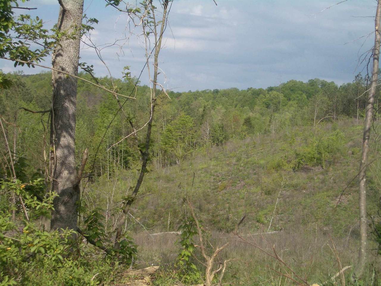 0 Powell Rd - Photo 1