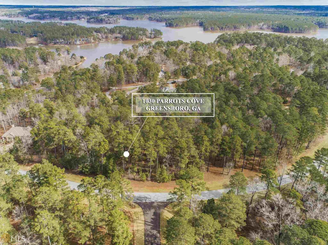 1030 Parrotts Cove Rd - Photo 1