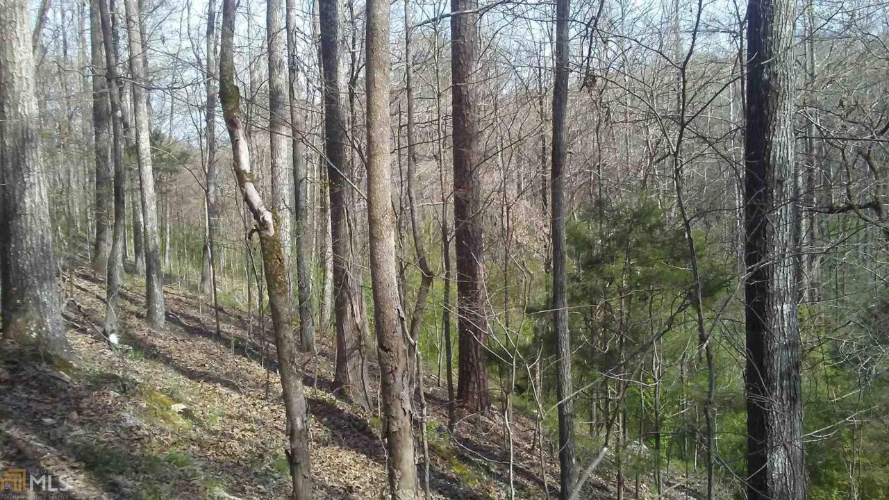0 Piedmont Hwy - Photo 1