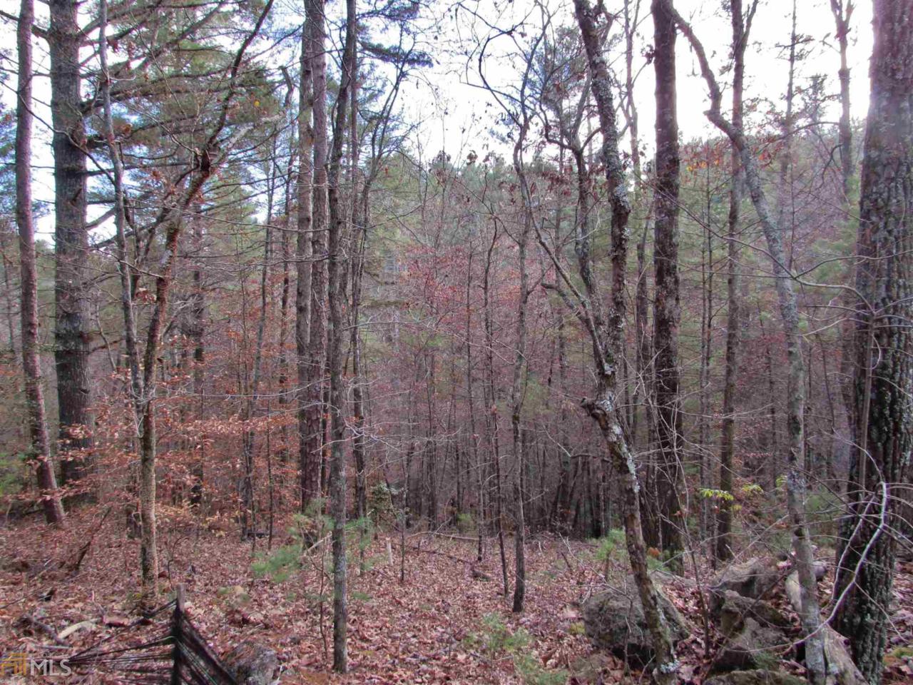 0 Tall Pines - Photo 1