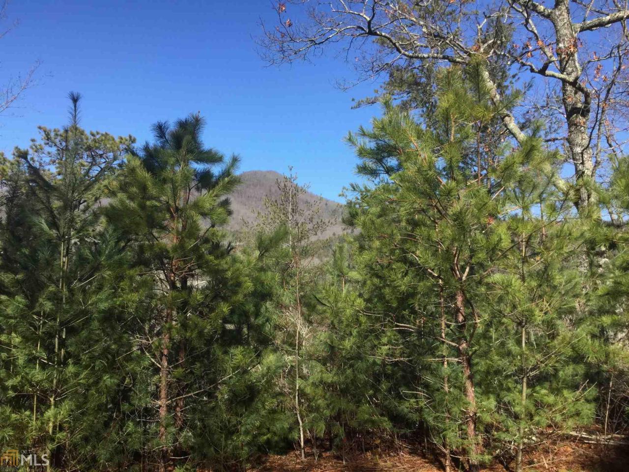 0 Timber Ridge Trl - Photo 1