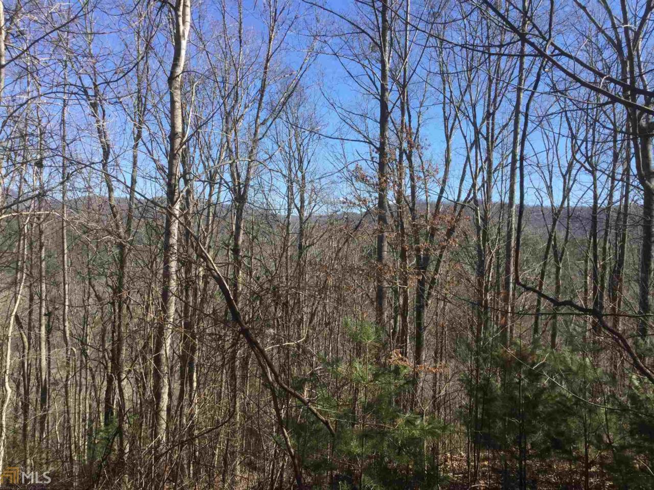 0 Soapstone Creek Cir - Photo 1