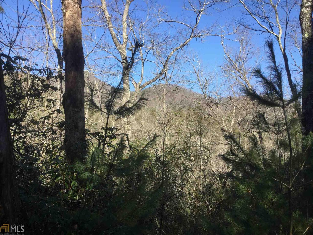 0 Timber Ridge Ct - Photo 1