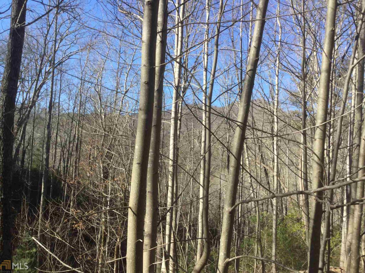 0 Timber Ridge Trl - Photo 1