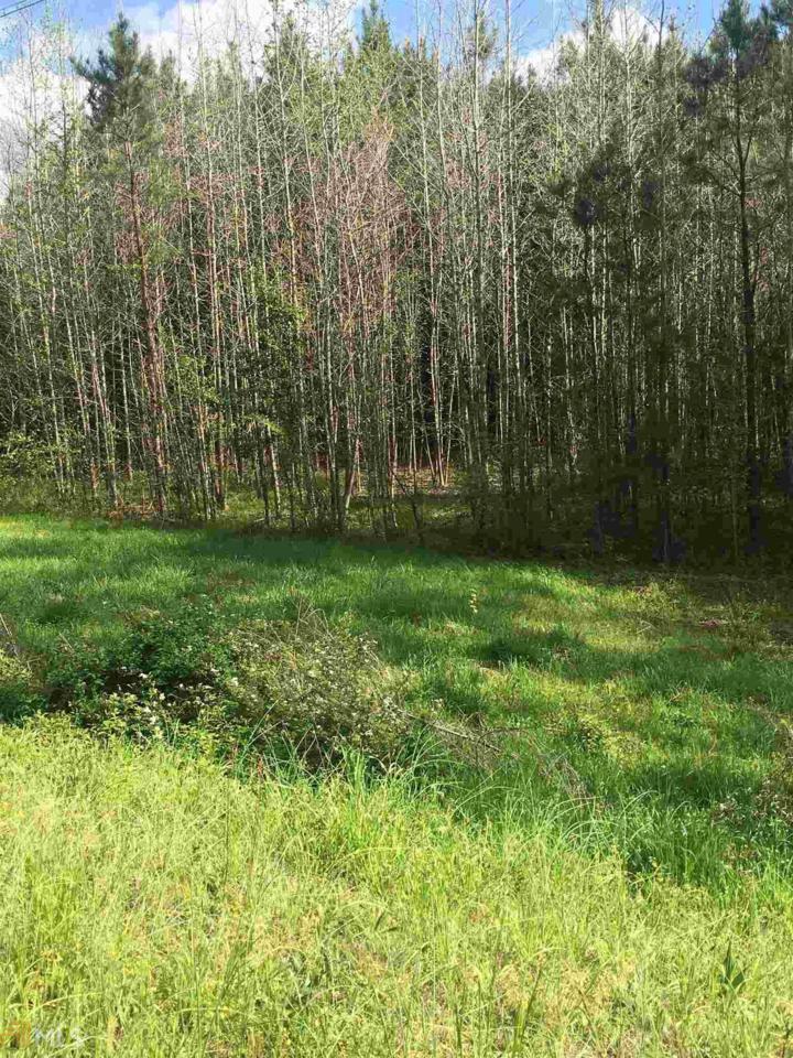 0 Jones Rd - Photo 1