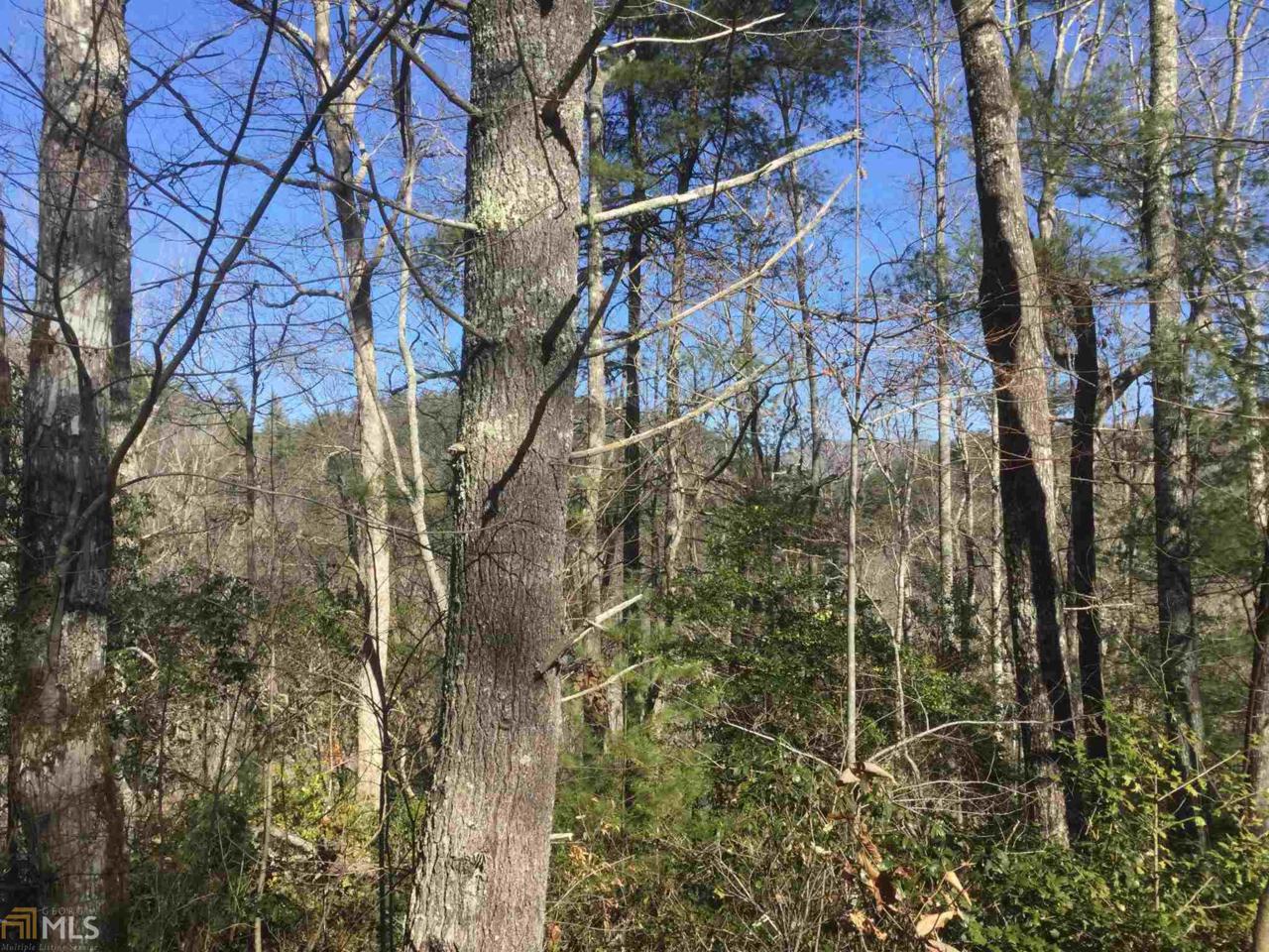 0 Timber Ridge Trl - Photo 1