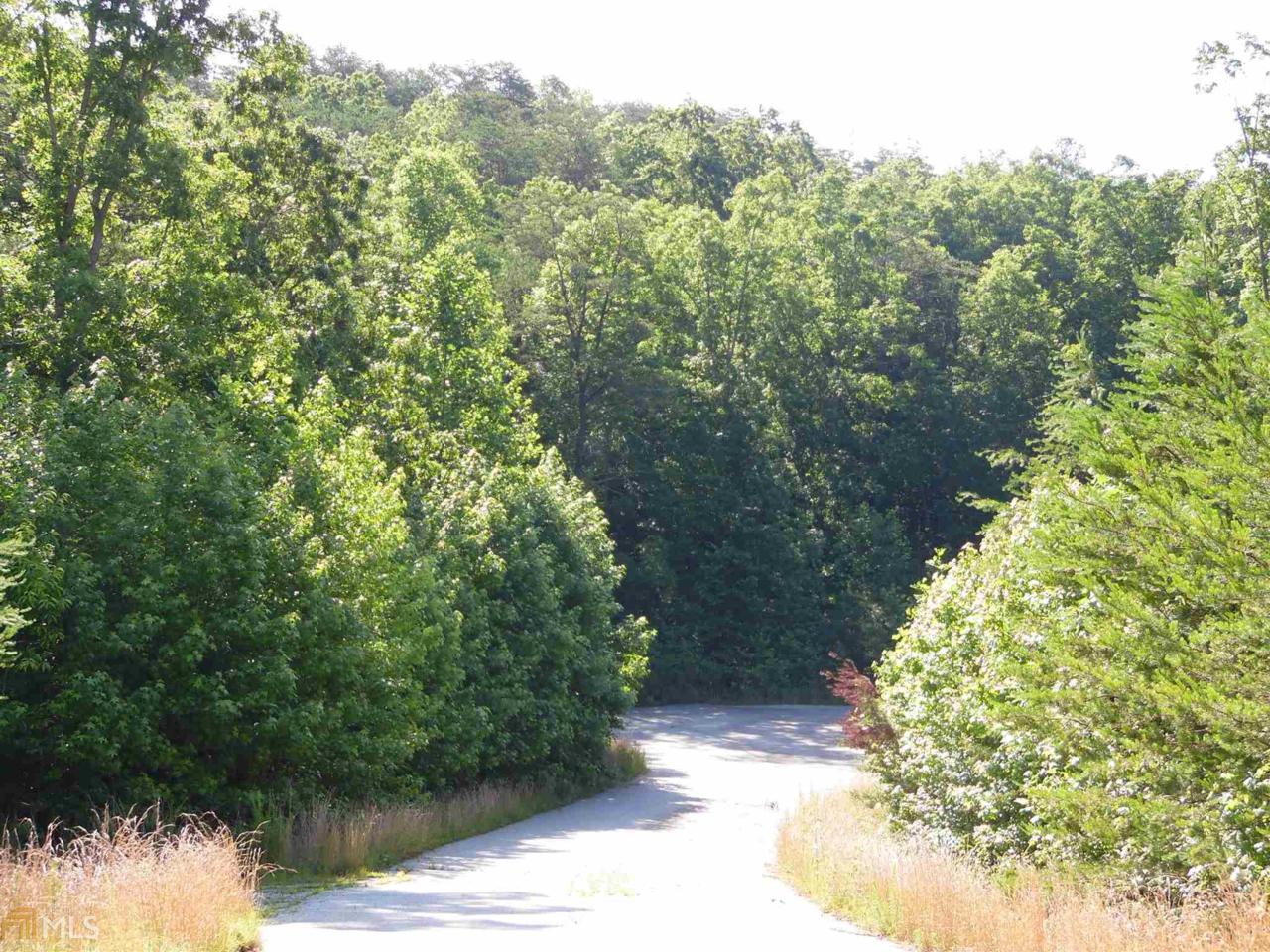 4 Unicoi Hills Tr - Photo 1