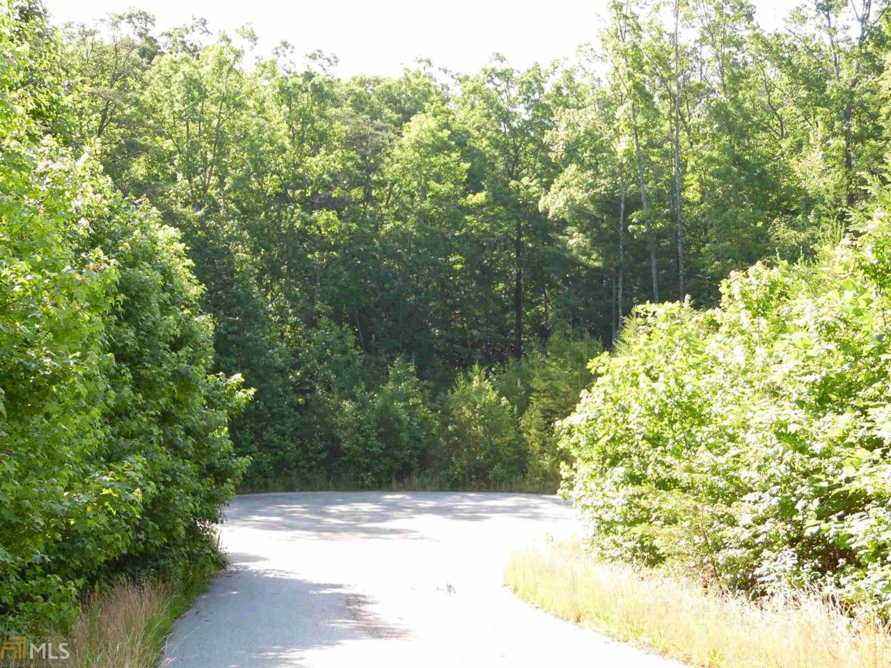 7 Unicoi Hills Tr - Photo 1