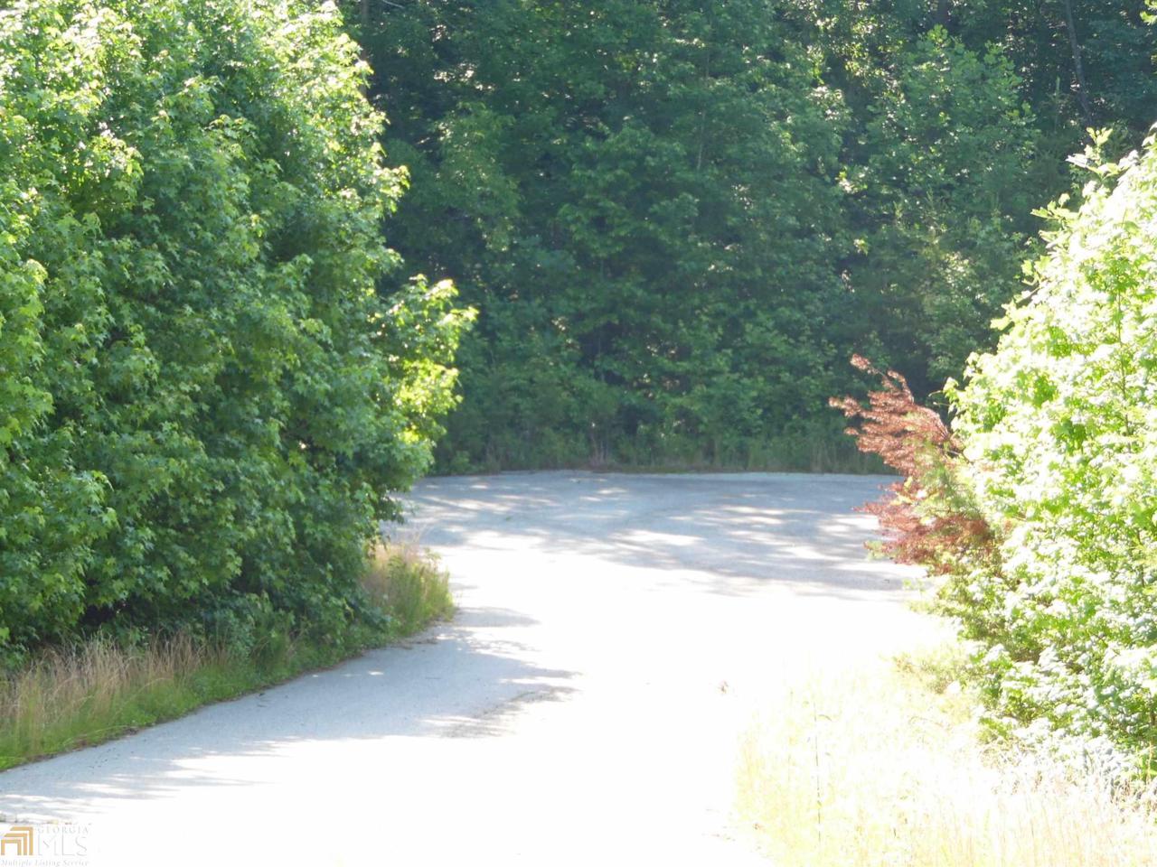 9 Unicoi Hills Tr - Photo 1