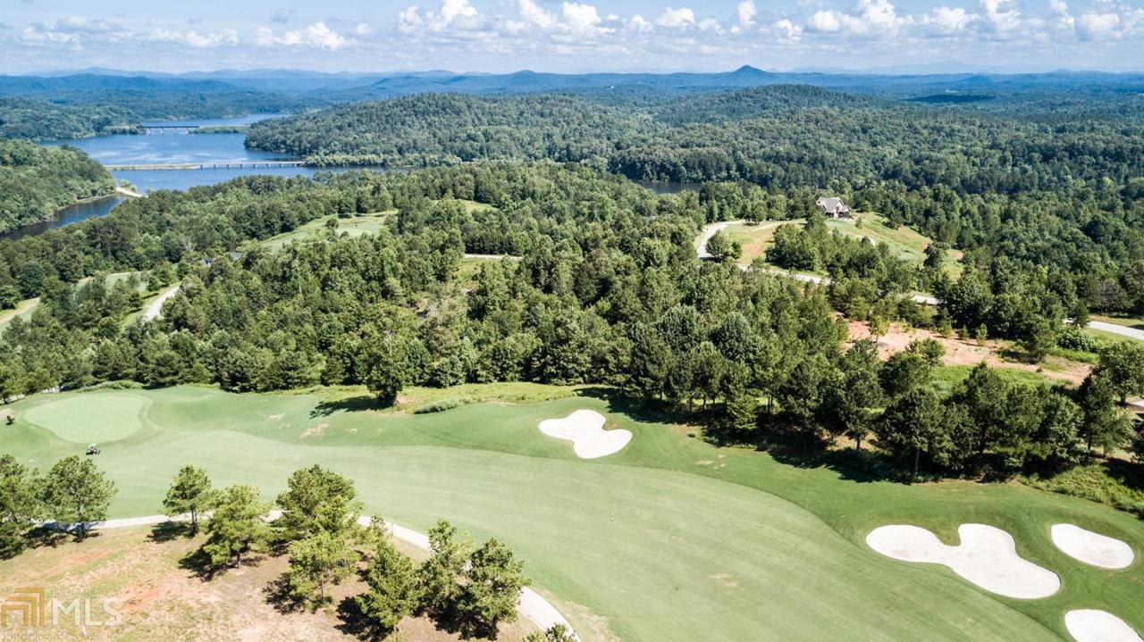 1437 Currahee Club Dr - Photo 1