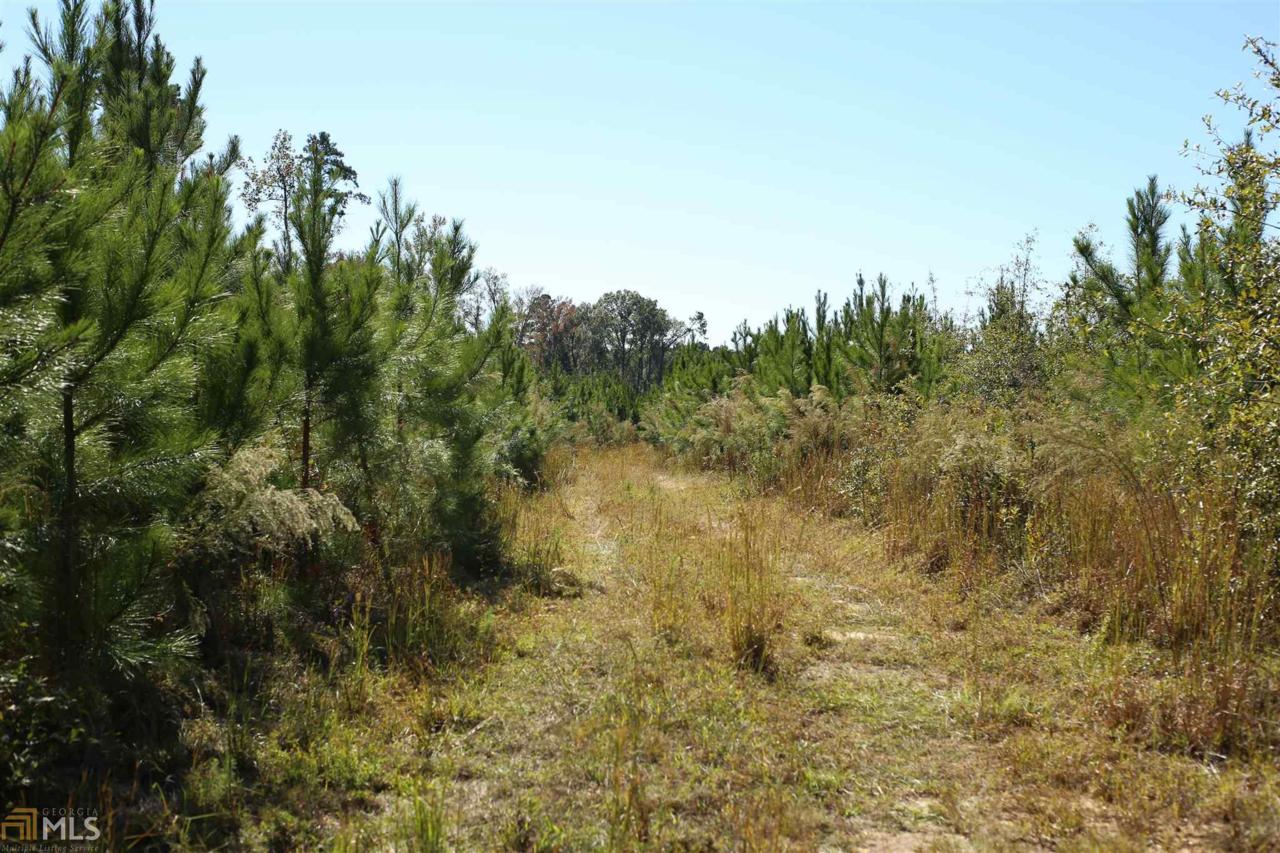 0 Highway 319 - Photo 1