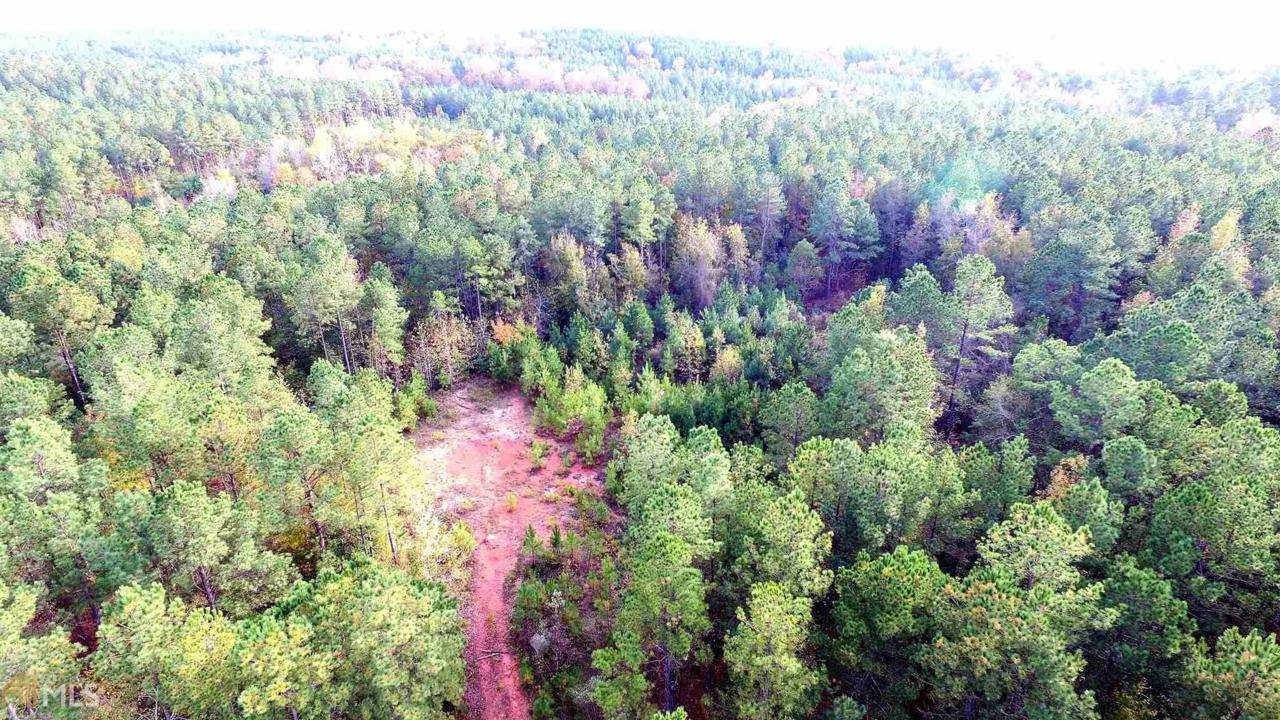 279 Black Springs Rd - Photo 1