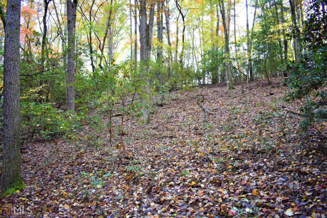 0 Chattahoochee Glen - Photo 1