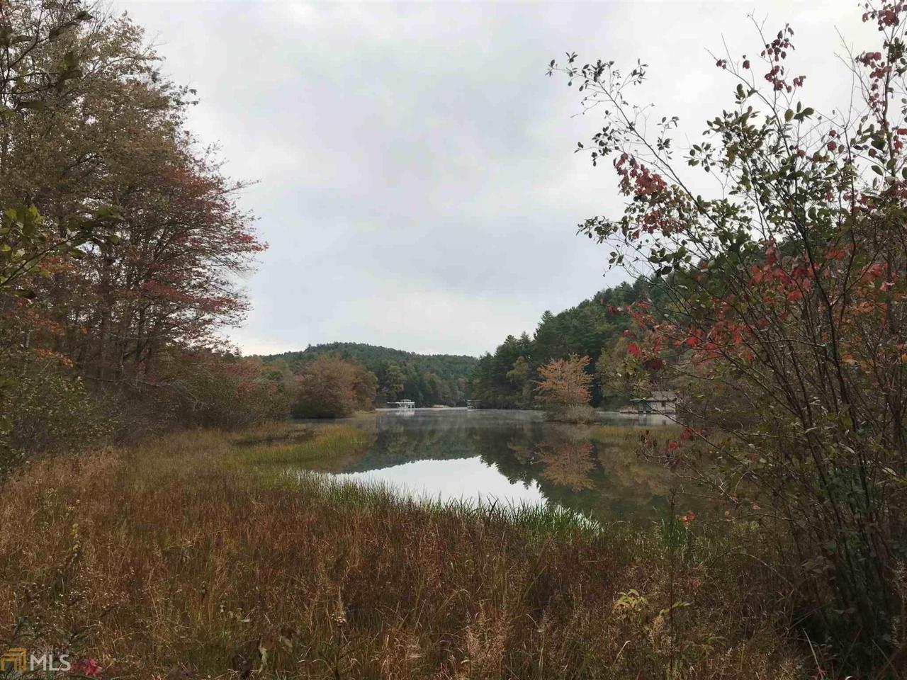 000 Bear Gap Rd - Photo 1