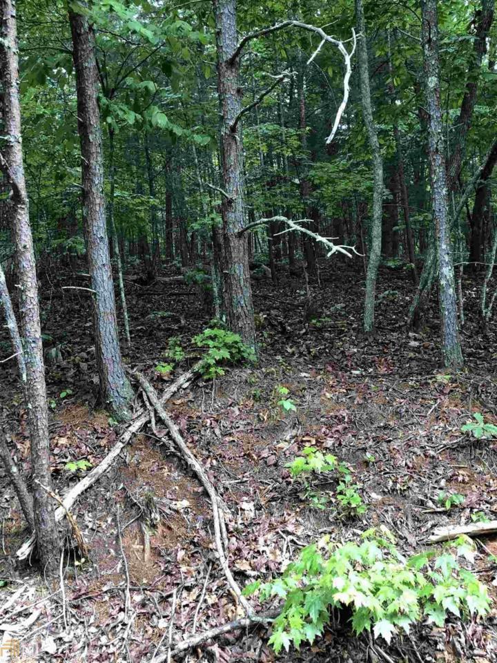 0 Skunk Hollow Rd - Photo 1