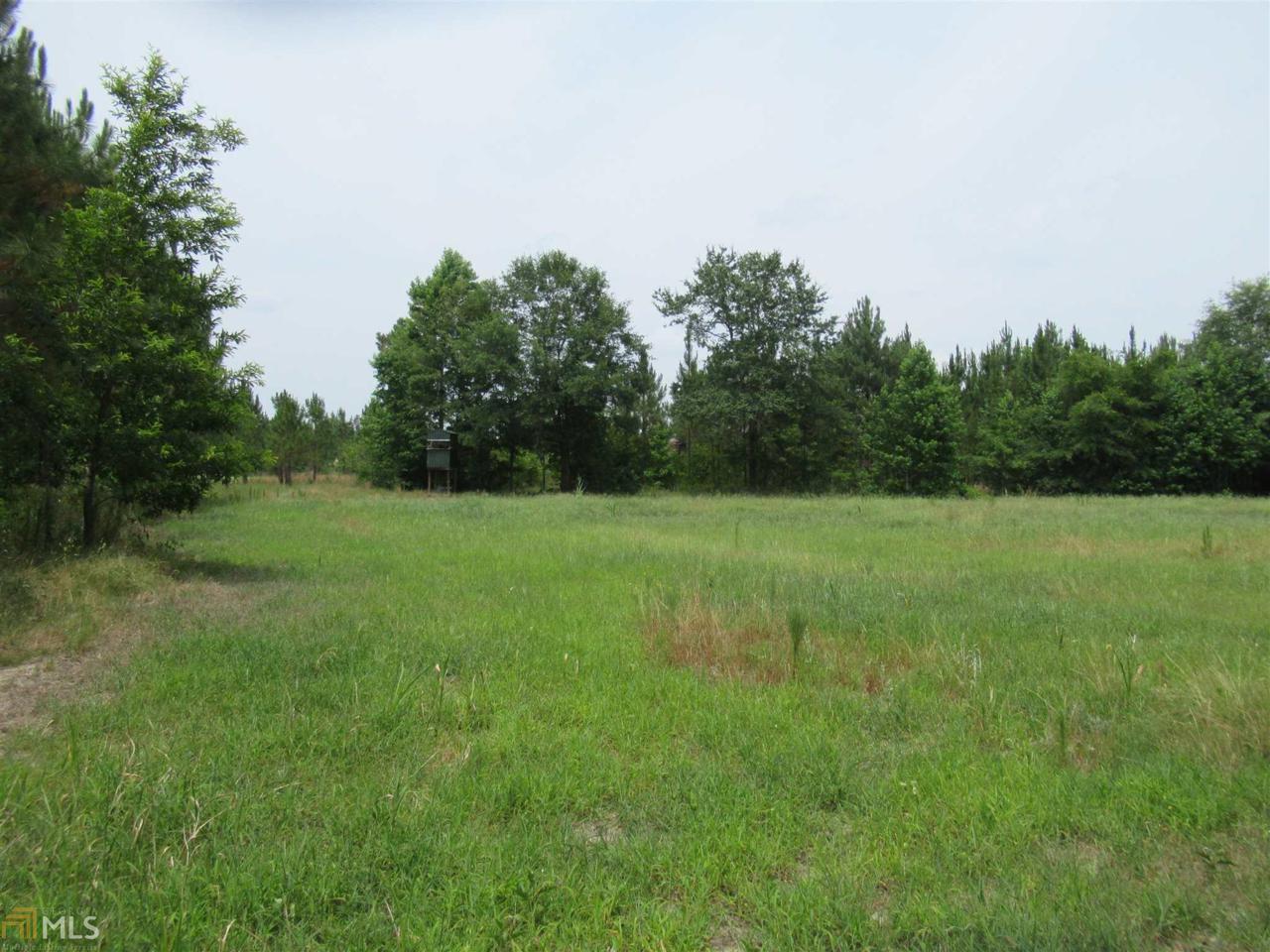 2094 Ga Hwy 15 S - Photo 1
