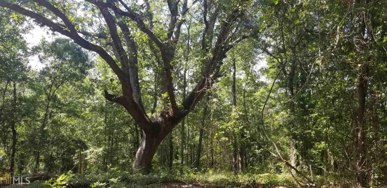 0 Johnson Gay Rd - Photo 1
