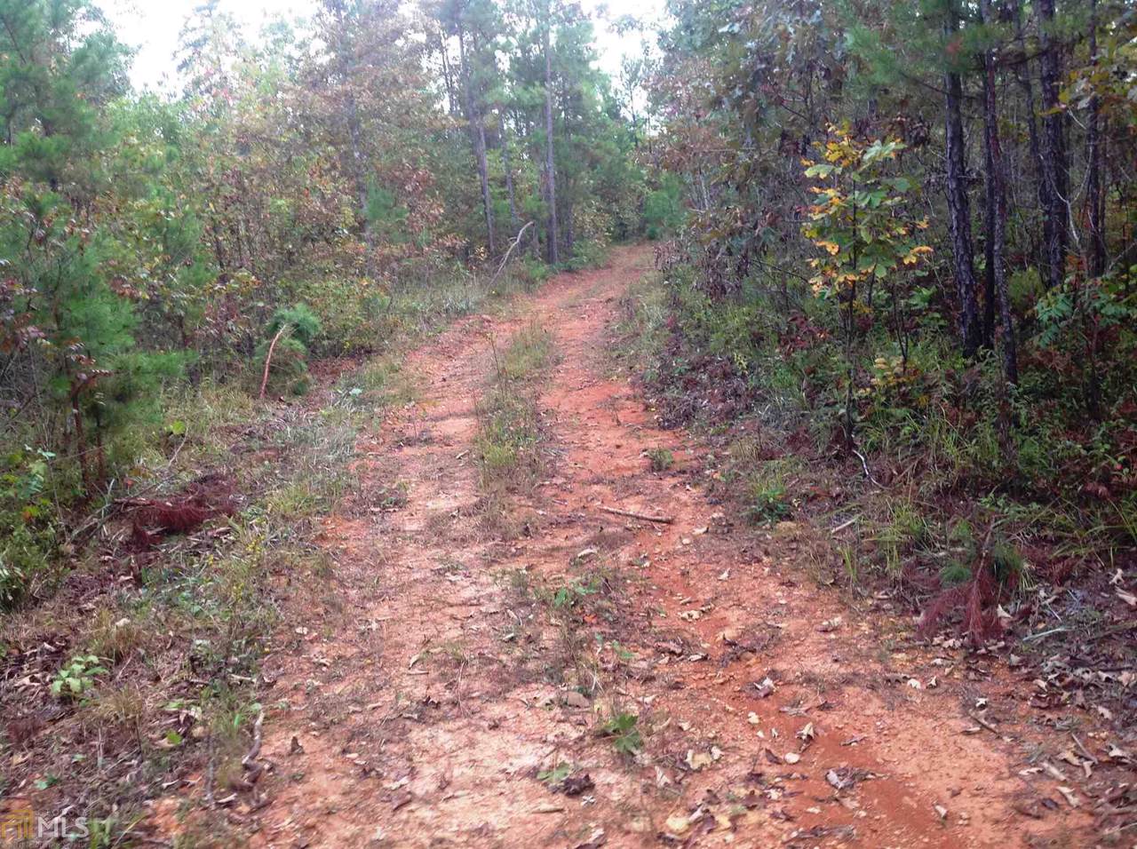 0 County Rd 49 - Photo 1