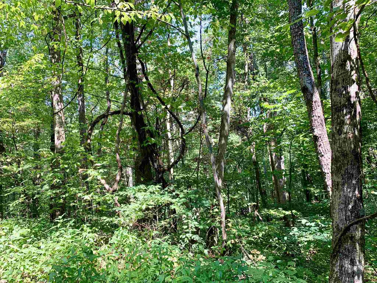 0 Spring Cove Rd - Photo 1