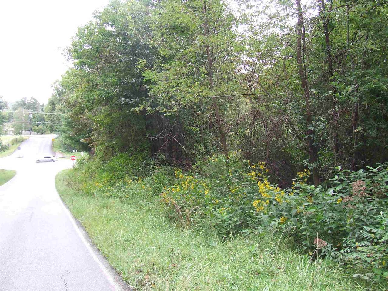 6365 Blue Ridge Dr - Photo 1