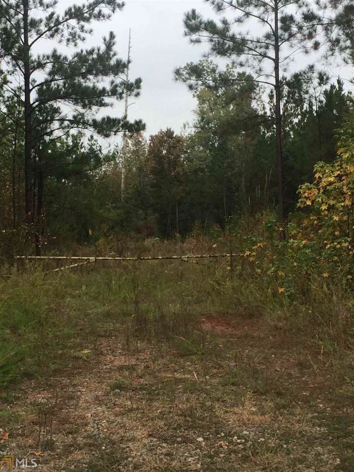 0001 Black Ike Rd - Photo 1
