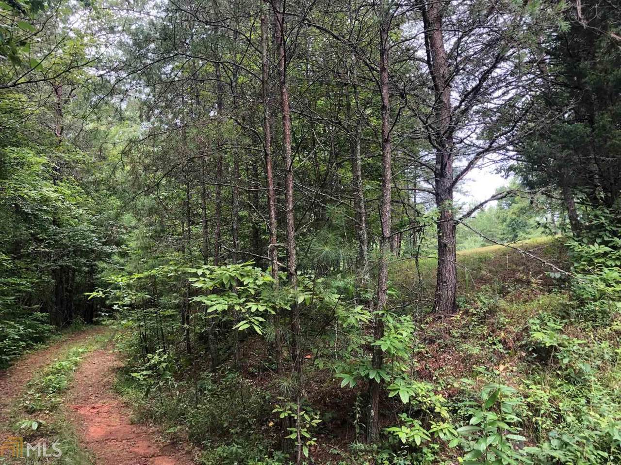 Lot 16 Ivy Log Estates - Photo 1