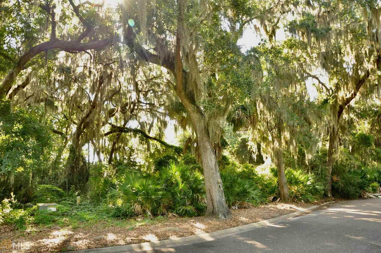 0 Spanish Moss Ct - Photo 1