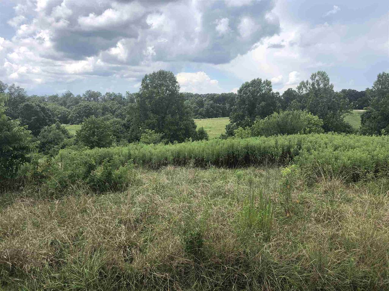 288 Sweetgrass Dr - Photo 1