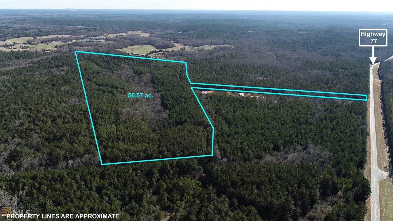 0 Lexington Hwy - Photo 1