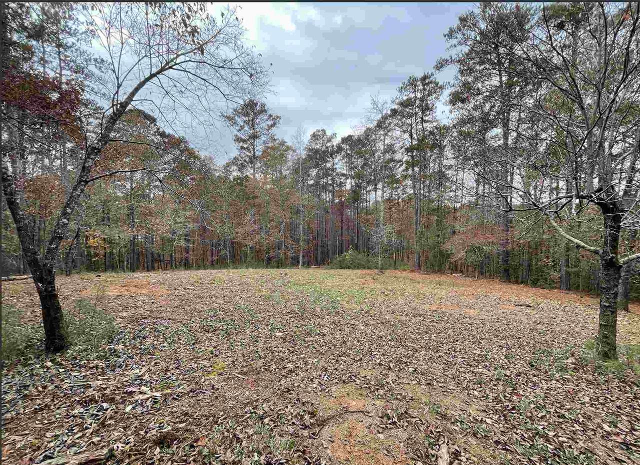 0 Woodcock Ct - Photo 1