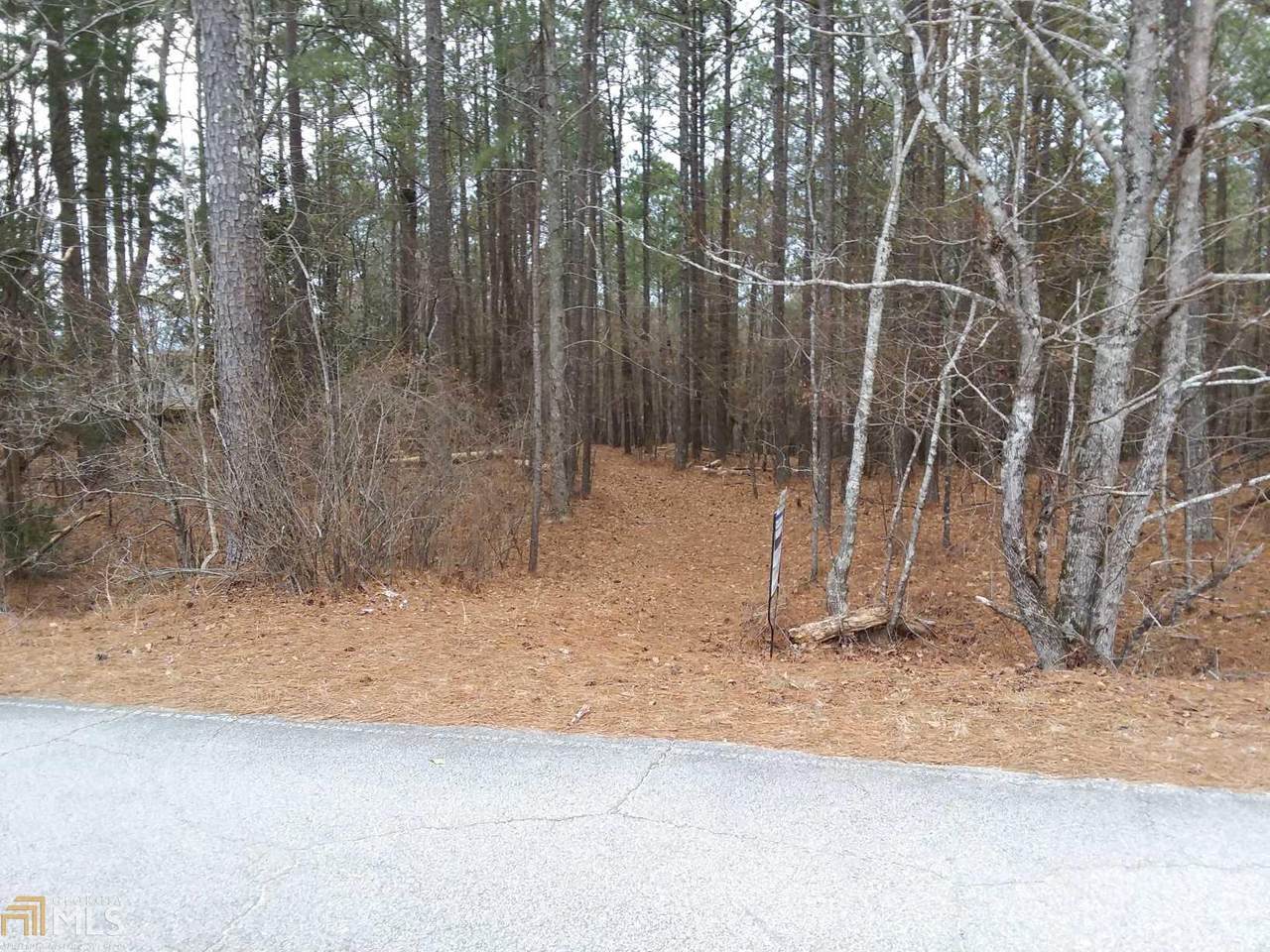 0 Old Atlanta Newnan Rd - Photo 1