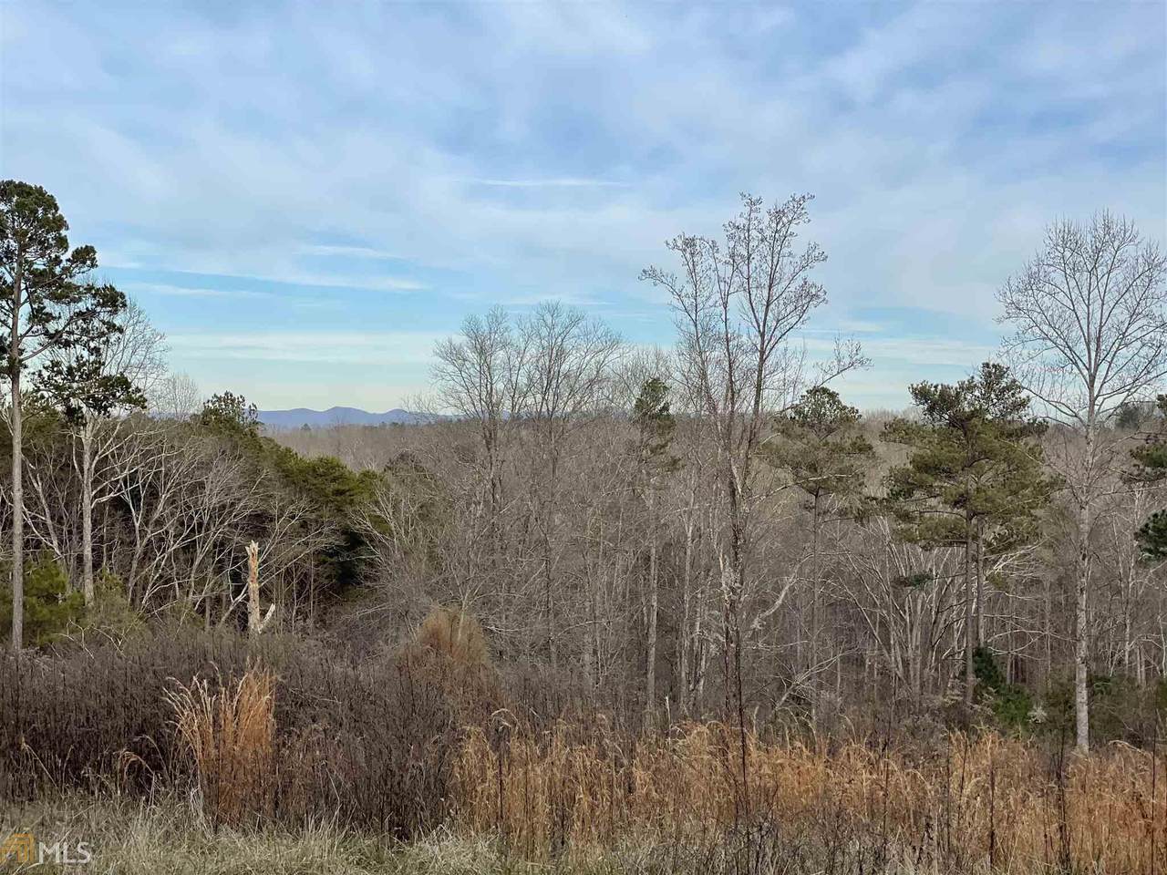100 Winston Rd - Photo 1