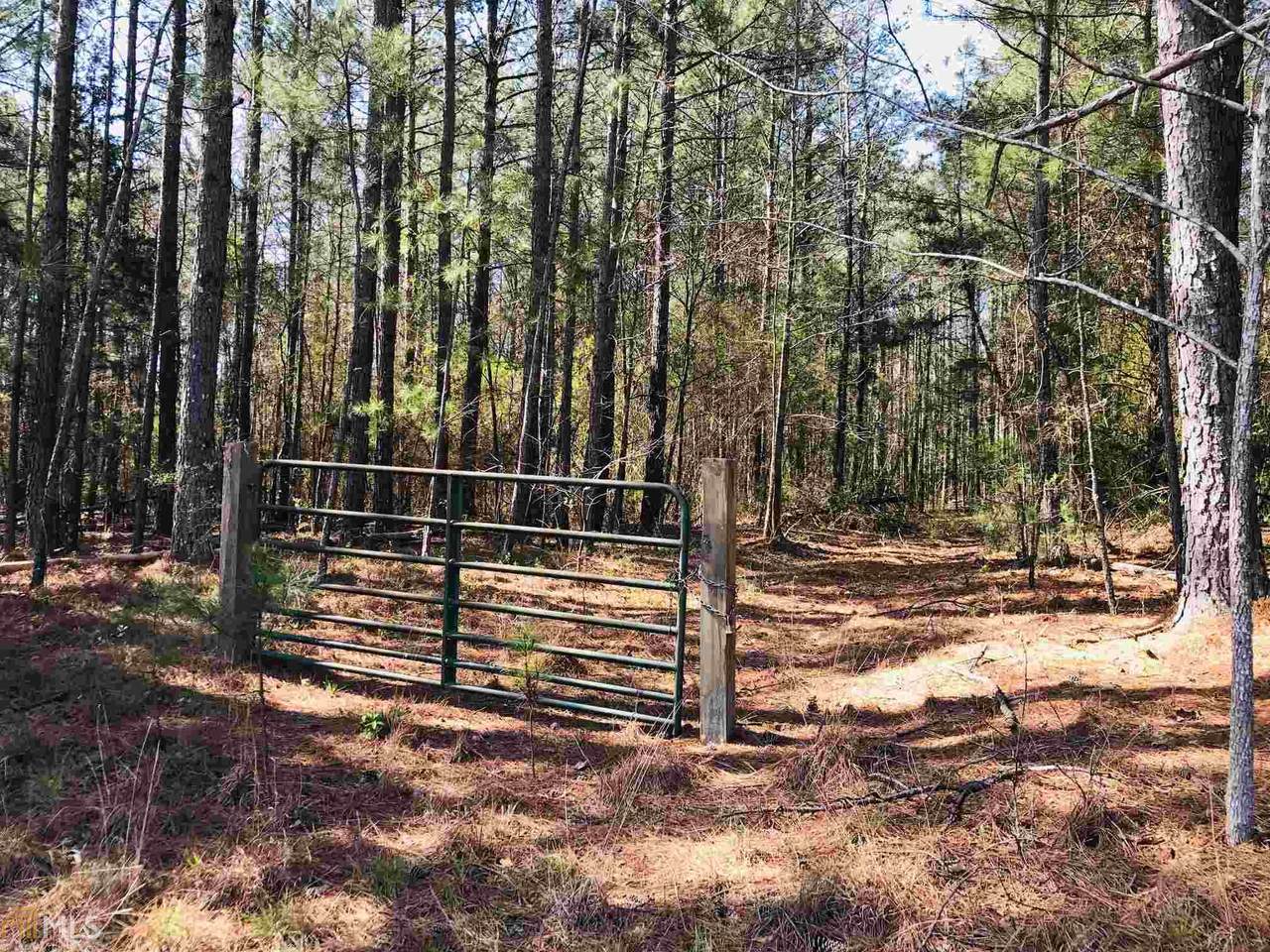 0 Strickland Town Rd - Photo 1