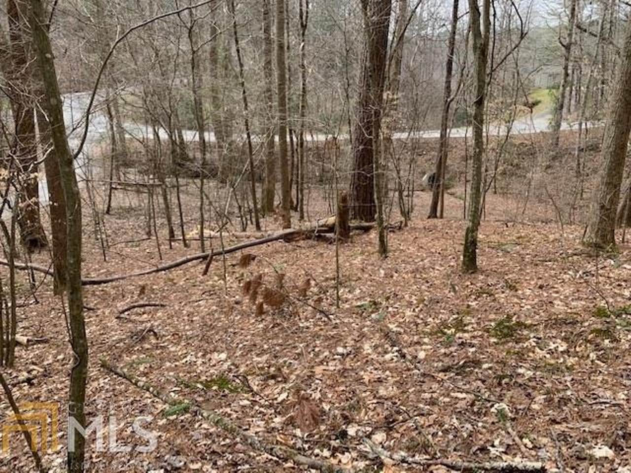 0 Beaver Lake Dr - Lt 317 Drive - Photo 1