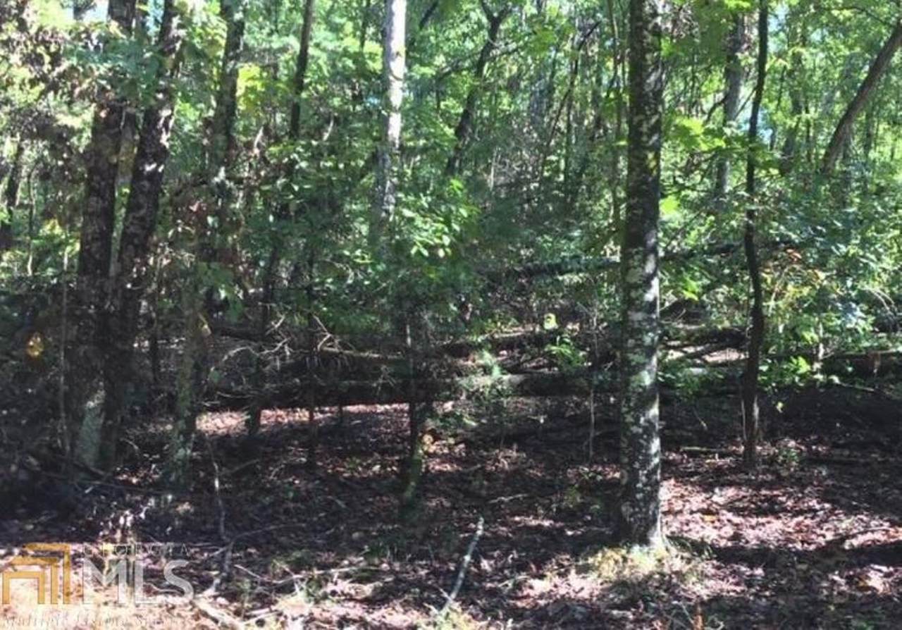 0 Etowah Drive - Photo 1