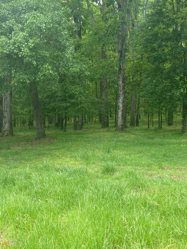 LOT 5 Oak Grove Road - Photo 1