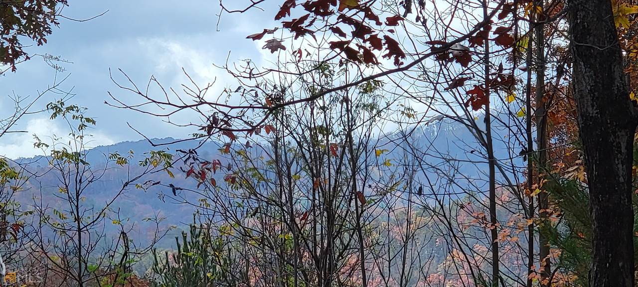 0 Pine Top - Photo 1