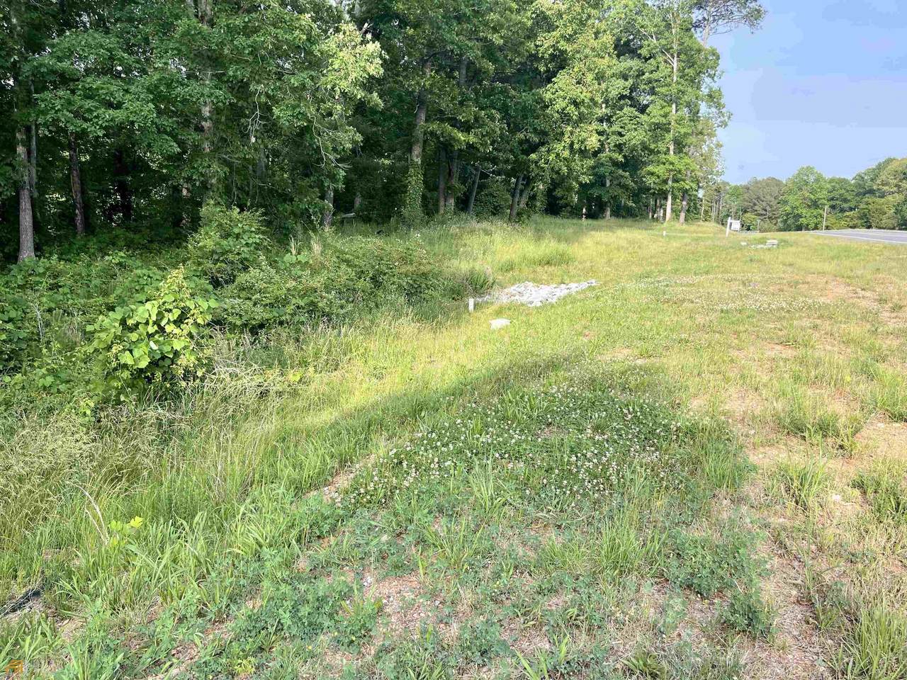 11523 Highway 53 - Photo 1