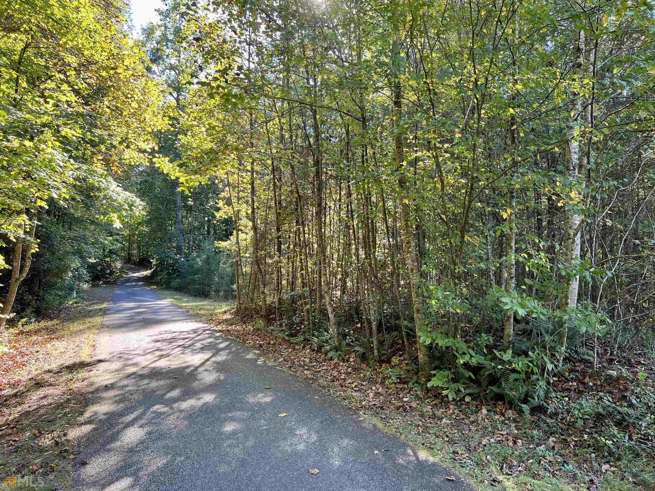 20+AC Boardtown Road - Photo 1