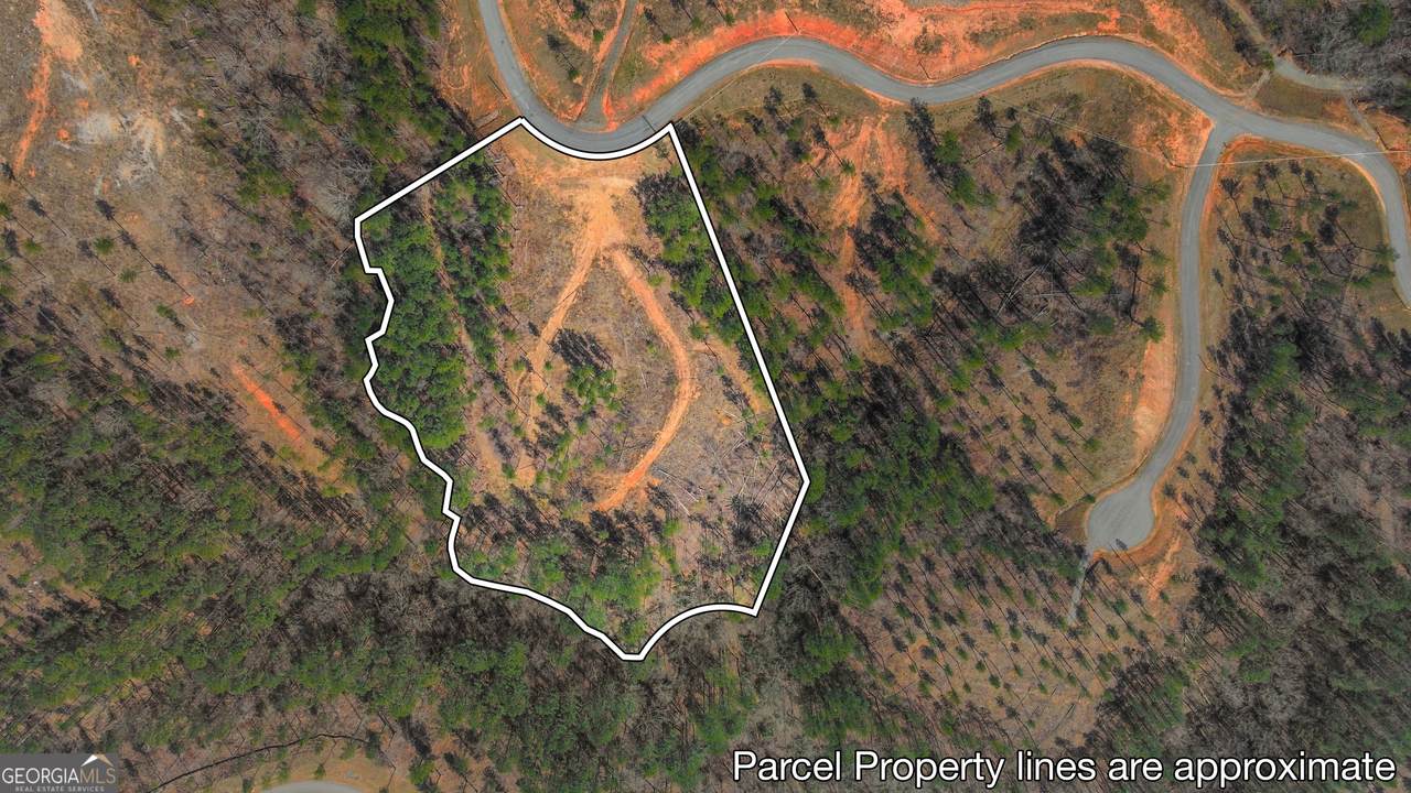 LOT 150R Blalock Mountain Road - Photo 1