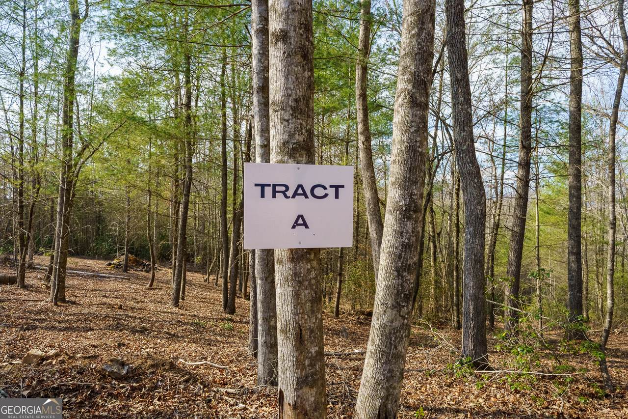 TR A East New Hope Road - Photo 1