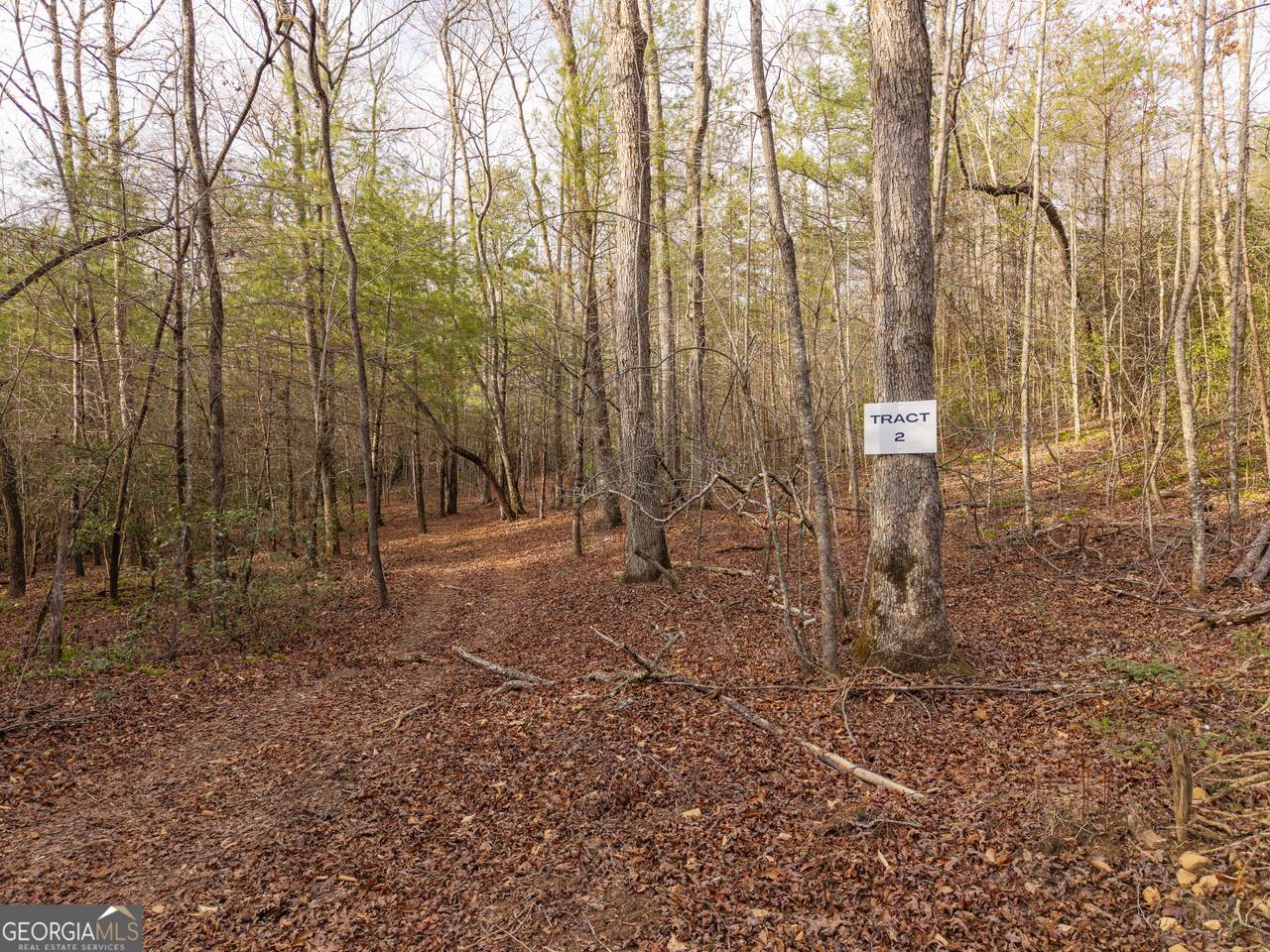 TR 2 East New Hope Road - Photo 1