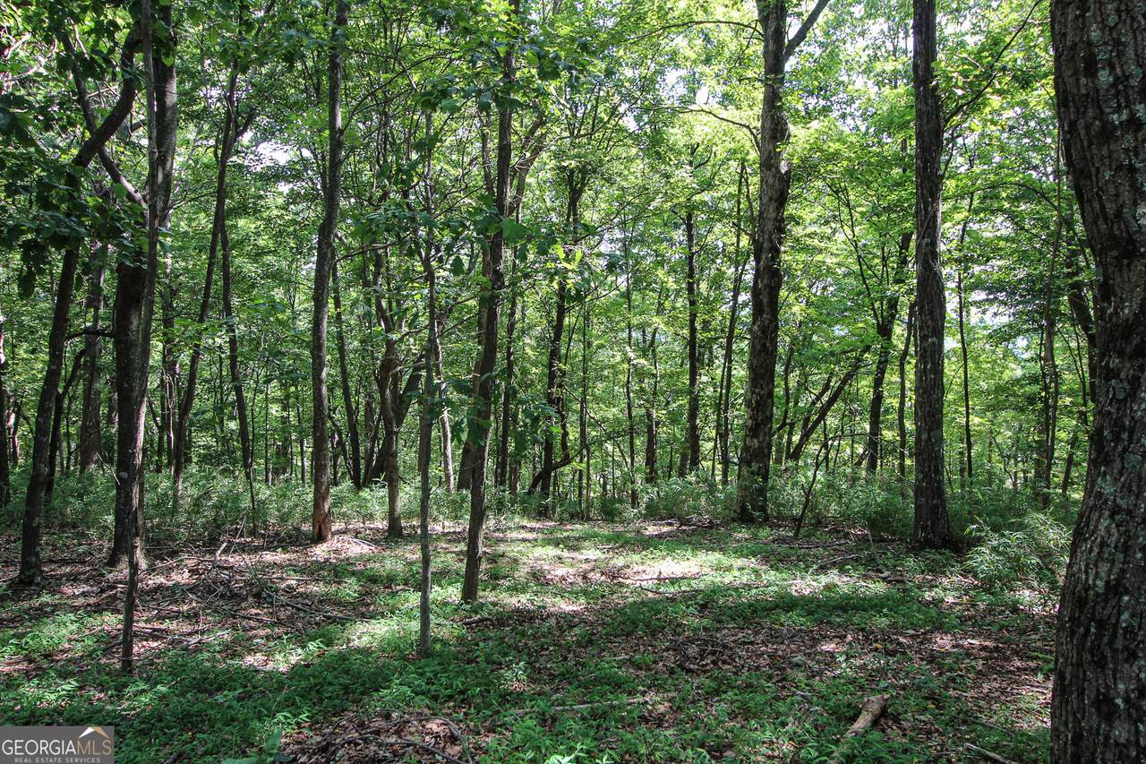 8088 Ridgeview Drive - Photo 1