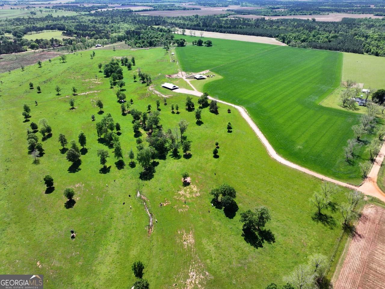 1412 Clark Road - Photo 1