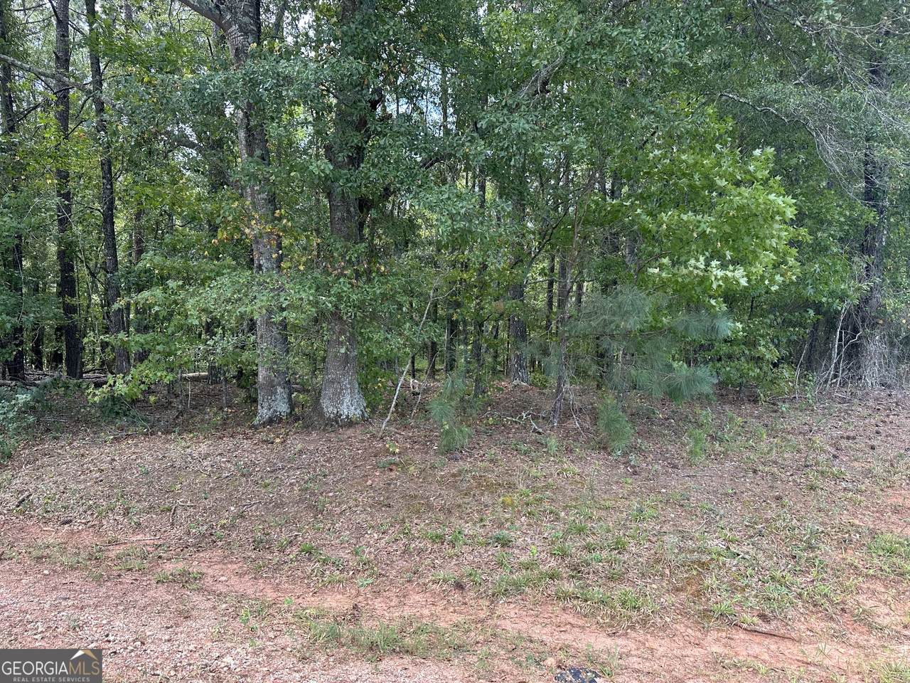 0 Teasley Trail - Photo 1
