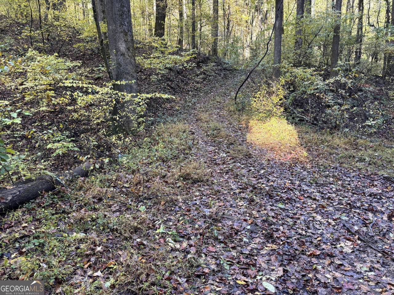 https://bt-photos.global.ssl.fastly.net/gamls/1280_boomver_3_10633249-2.jpg